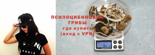 гидра Заволжье