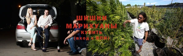 соль ск Заводоуковск