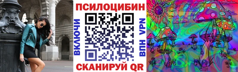 Псилоцибиновые грибы Psilocybe  Купить где  Красный Сулин 